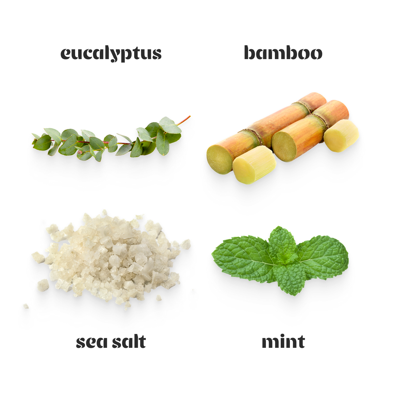 Stillwater Laundry Detergent Sheets